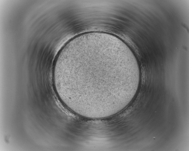 X0000102380896200808291358