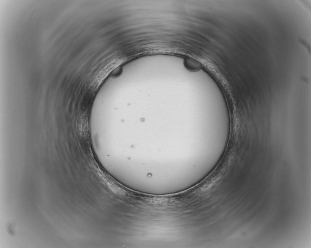 X0000102380897200808291358