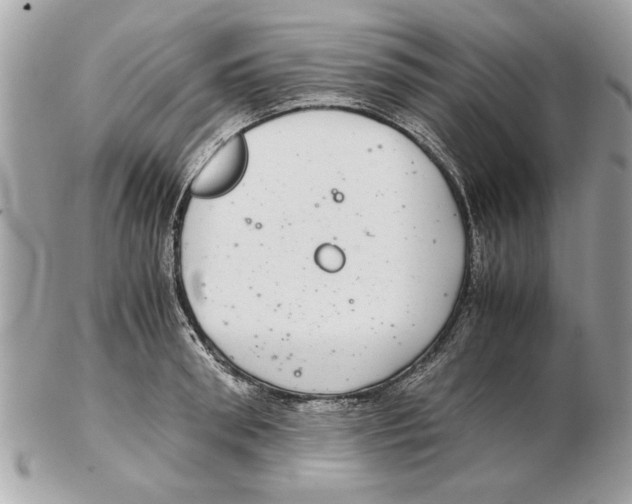 X0000102380898200808291358