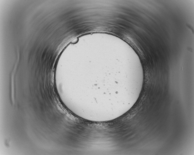 X0000102380900200808291358