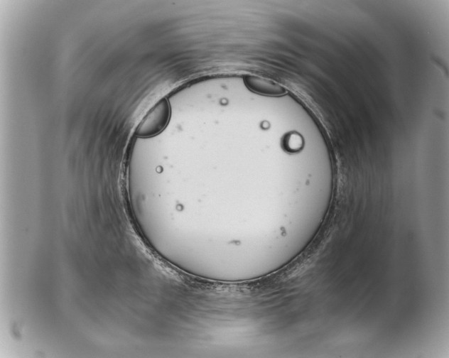 X0000102380901200808291358