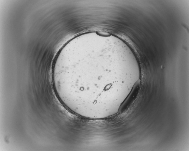 X0000102380902200808291358