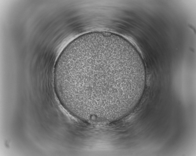 X0000102380903200808291358