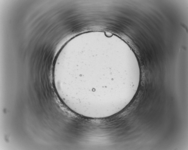 X0000102380904200808291358