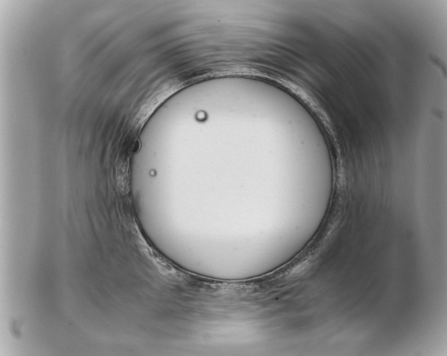 X0000102380905200808291358