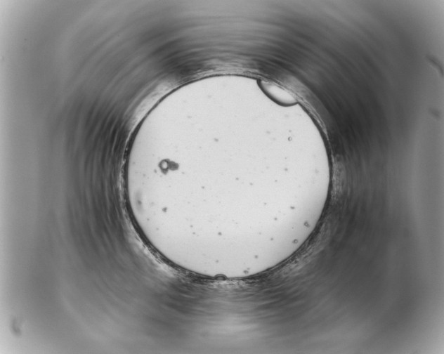 X0000102380906200808291358