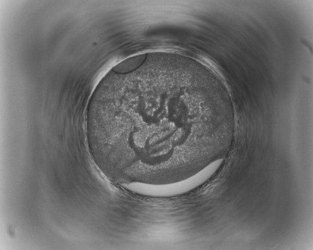 X0000102380907200808291358