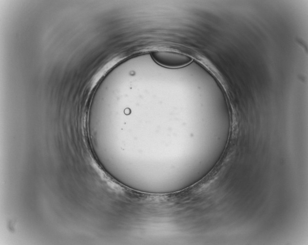 X0000102380909200808291358