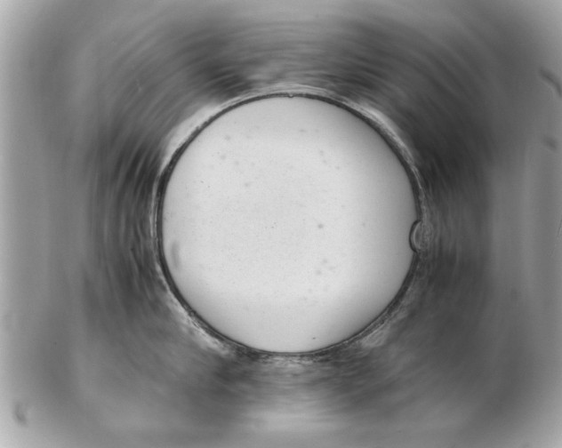 X0000102380910200808291358