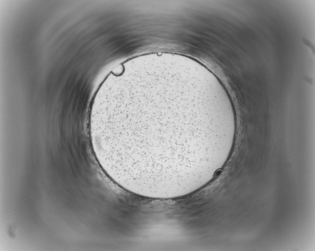 X0000102380912200808291358