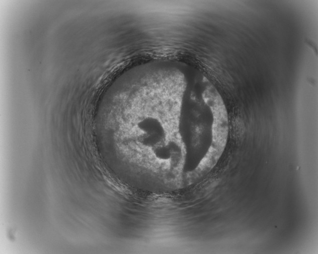 X0000102380913200808291357