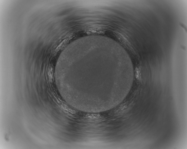 X0000102380915200808291357