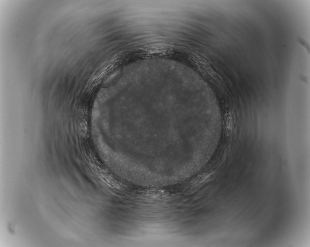 X0000102380916200808291357