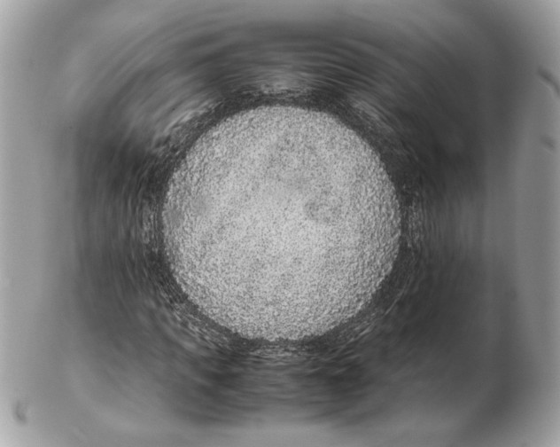 X0000102380917200808291357