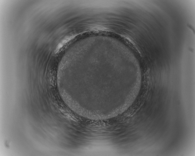 X0000102380919200808291358