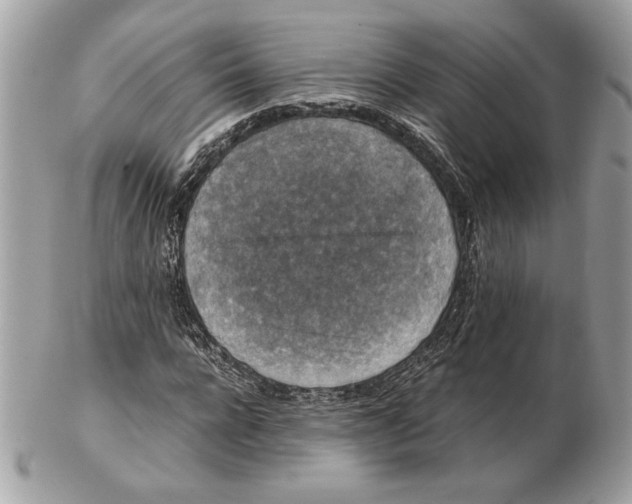 X0000102380920200808291358