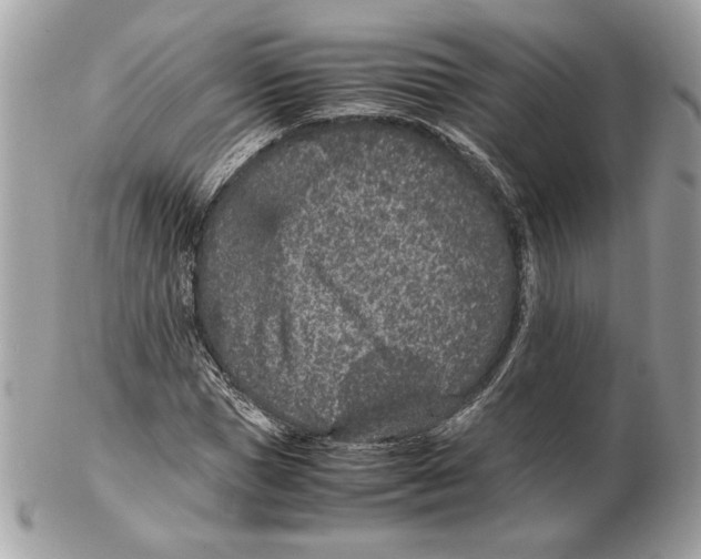 X0000102380921200808291358