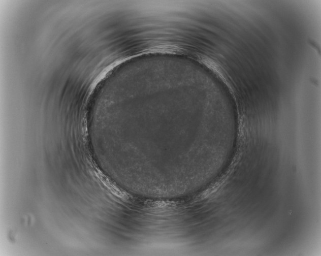 X0000102380923200808291358