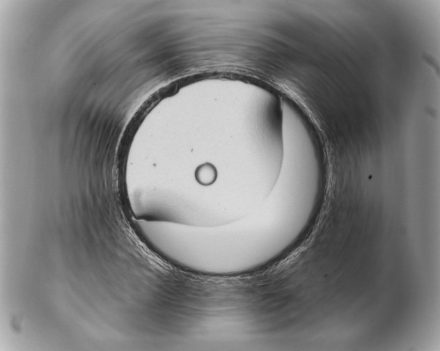 X0000102380924200808291358