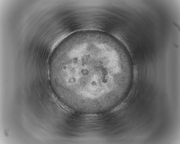 X0000102380925200808291358