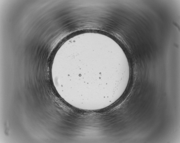 X0000102380926200808291358