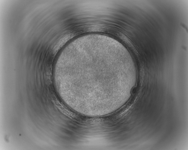 X0000102380930200808291358