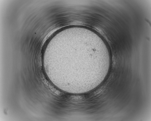 X0000102380931200808291358