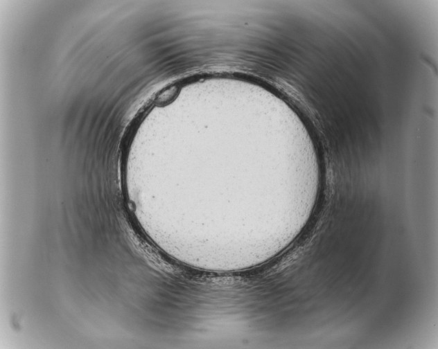 X0000102380934200808291358