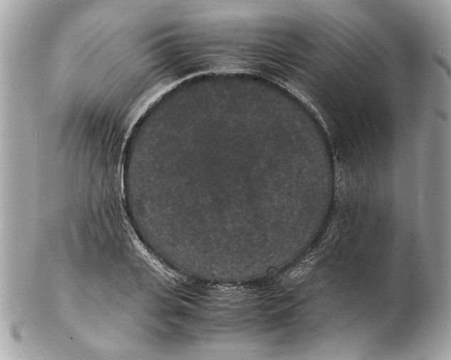 X0000102380935200808291358