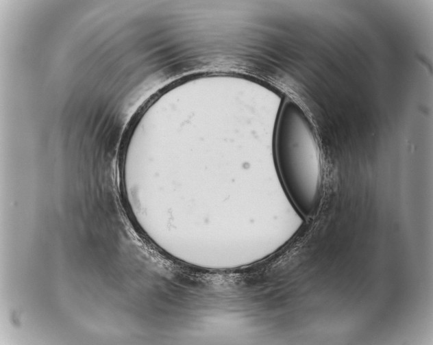 X0000102380936200808291358