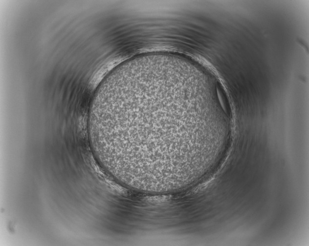 X0000102380937200808291358