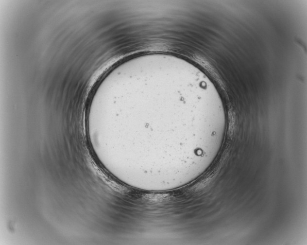 X0000102380939200808291358