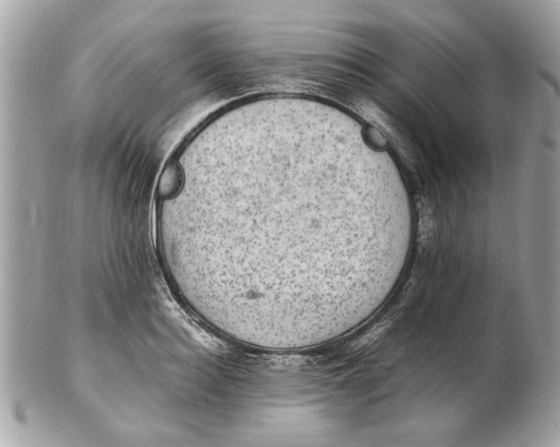 X0000102380940200808291358