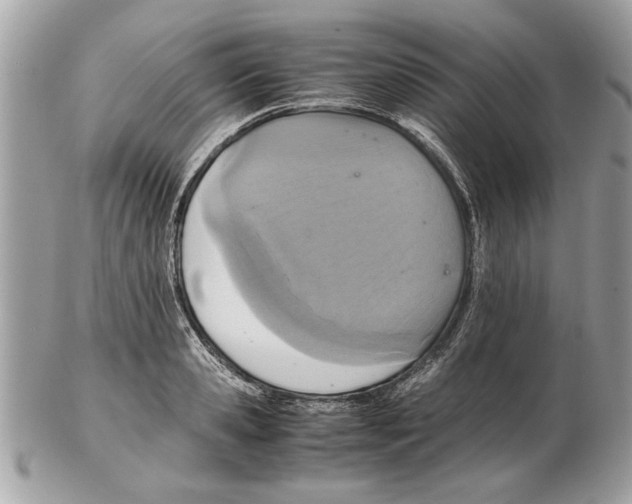 X0000102380941200808291358