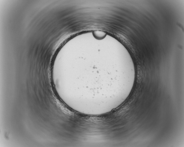 X0000102380942200808291358