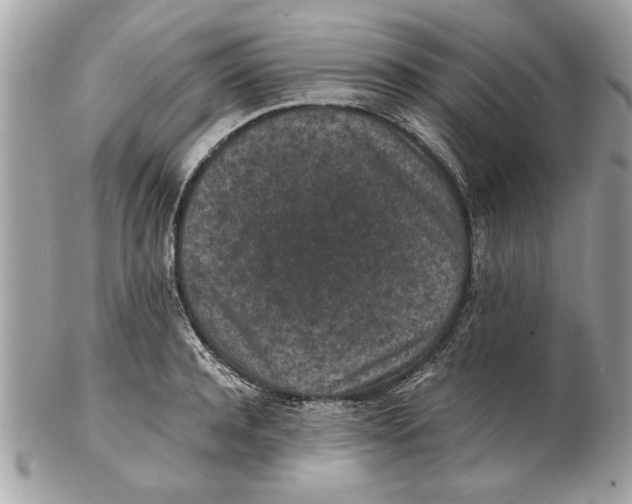 X0000102380944200808291358