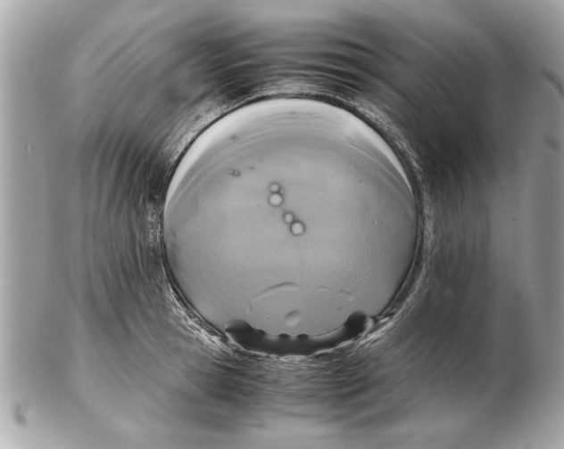 X0000102380945200808291358