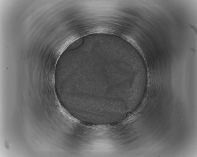 X0000102380946200808291358