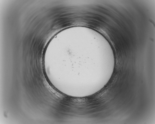 X0000102380947200808291358