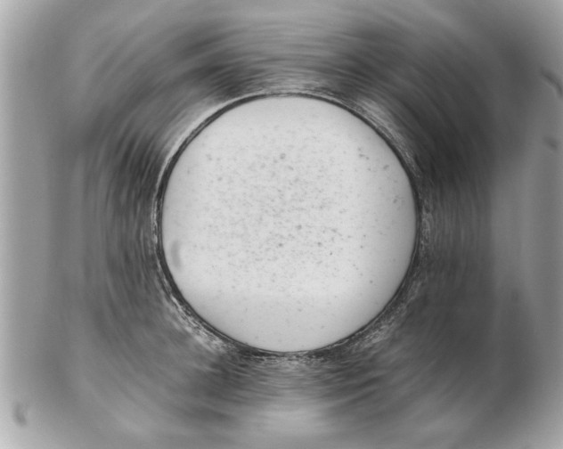 X0000102380948200808291358