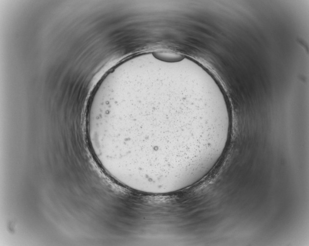 X0000102380949200808291358