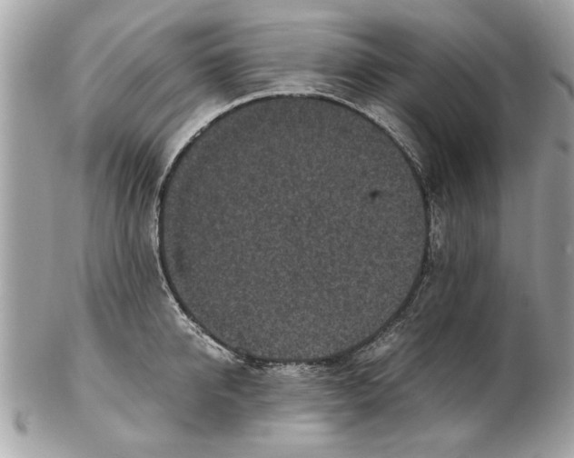 X0000102380950200808291358