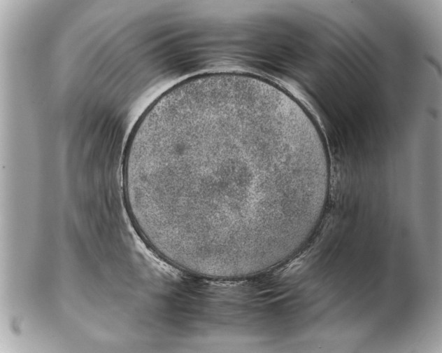 X0000102380951200808291358