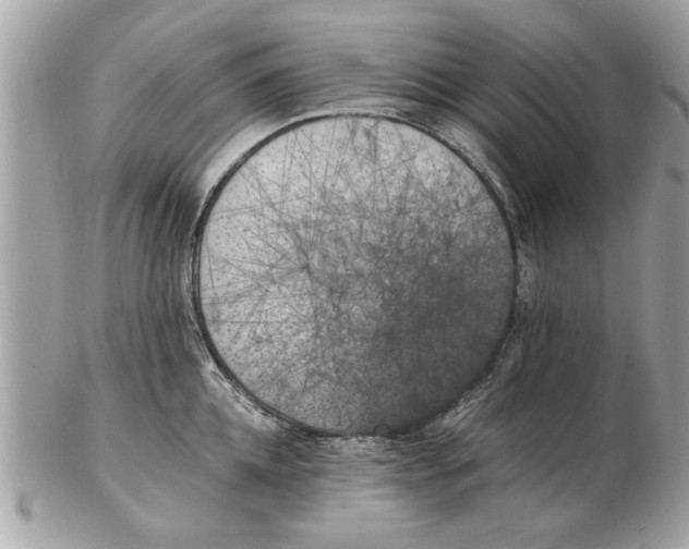 X0000102380952200808291358