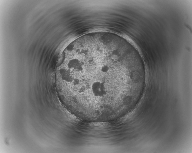 X0000102380953200808291358