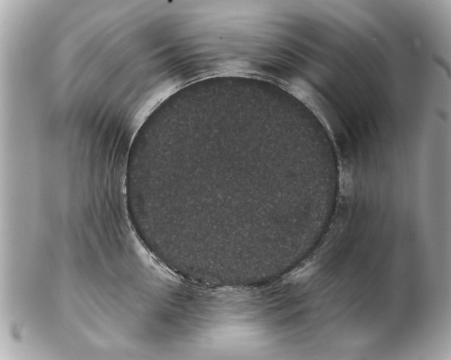 X0000102380954200808291358