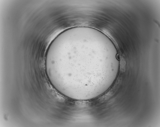 X0000102380956200808291358