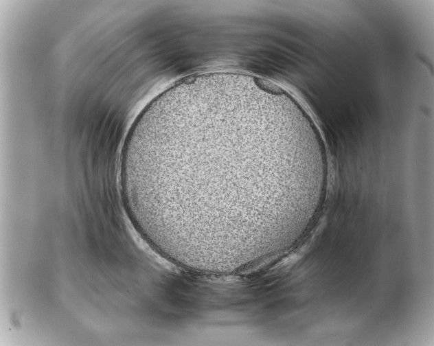 X0000102380957200808291358