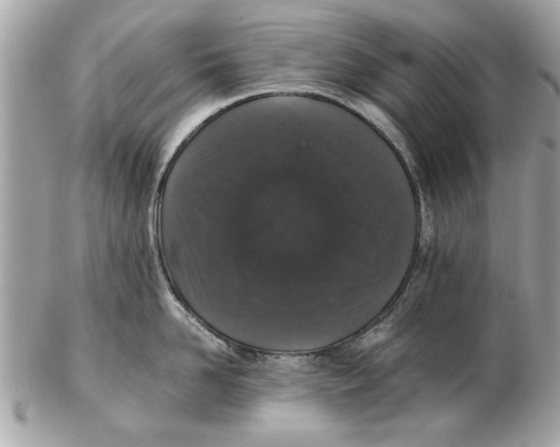 X0000102380958200808291358