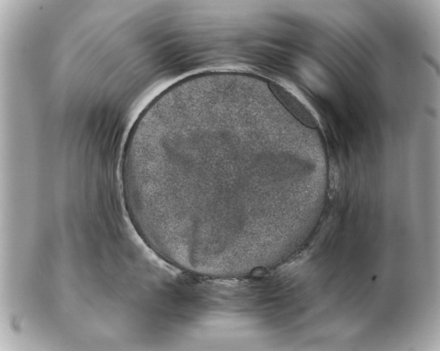 X0000102380959200808291358